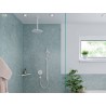 Hansgrohe Raindance Select S ručná sprcha 120 3jet EcoSmart matná biela, 26531700