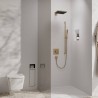 HANSGROHE Pulsify E ručná sprcha 1jet EcoSmart+ kartáčovaný bronz, 24321140