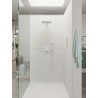 Hansgrohe Raindance Select E ručná sprcha 120 3jet chróm 26520000