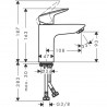 Hansgrohe Logis páková umývadlová batéria 100, chróm, 71101000