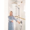 Hansgrohe Raindance Classic hlavová sprcha 240 Air 1jet so sprchovým ramenom 390 mm chróm/zlato 27424090