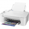 CANON Pixma TS3751i White