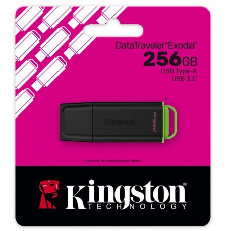 Kingston DataTraveler Exodia 256GB